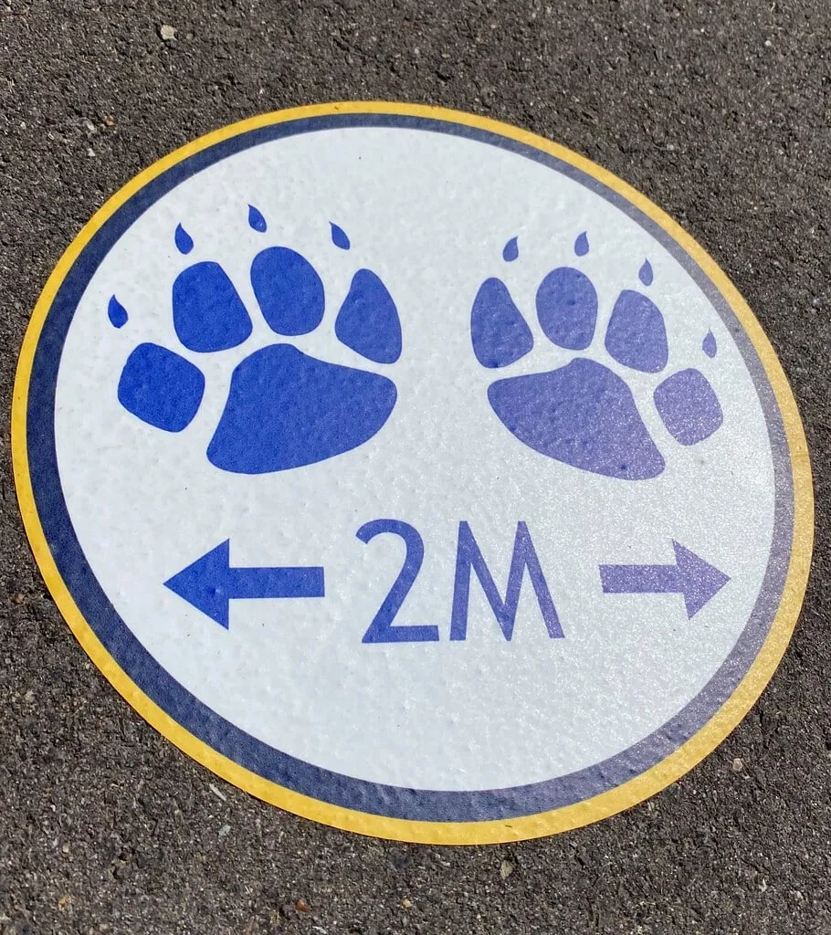 Circular 2M floor graphic with paw prints marking a social distancing spot on the playground