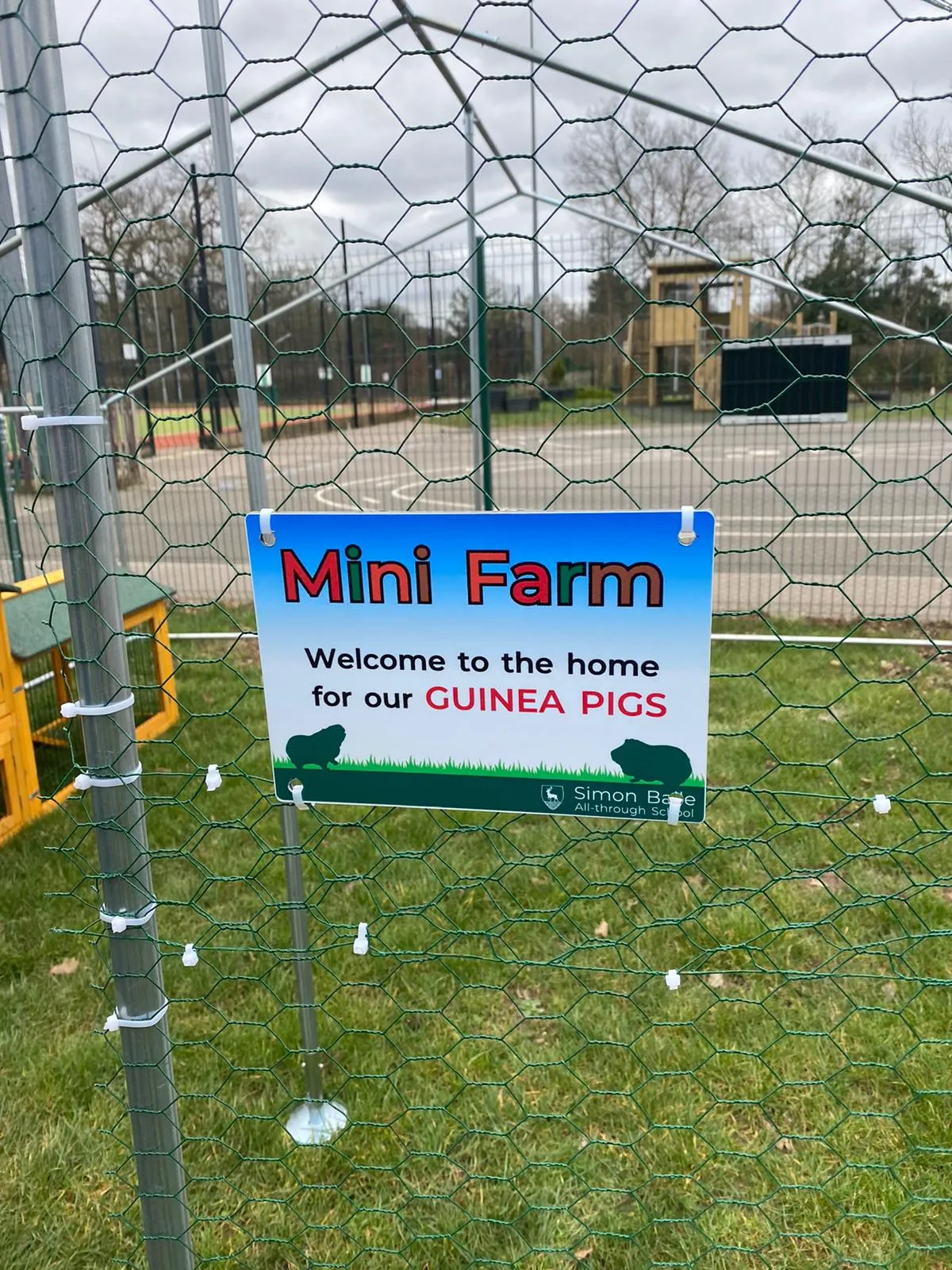 School Signs